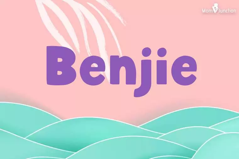 Benjie Stylish Wallpaper