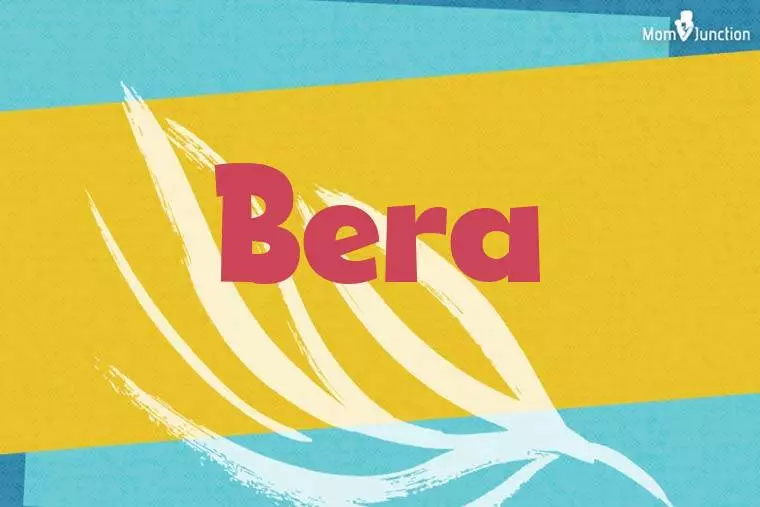 Bera Stylish Wallpaper