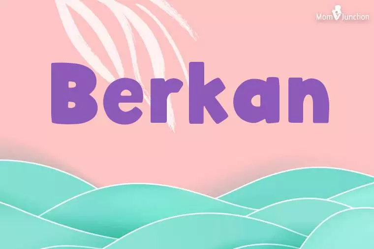 Berkan Stylish Wallpaper