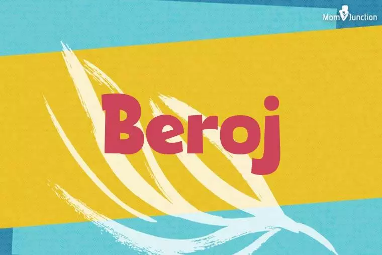 Beroj Stylish Wallpaper