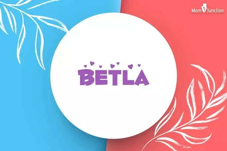 Betla Stylish Wallpaper