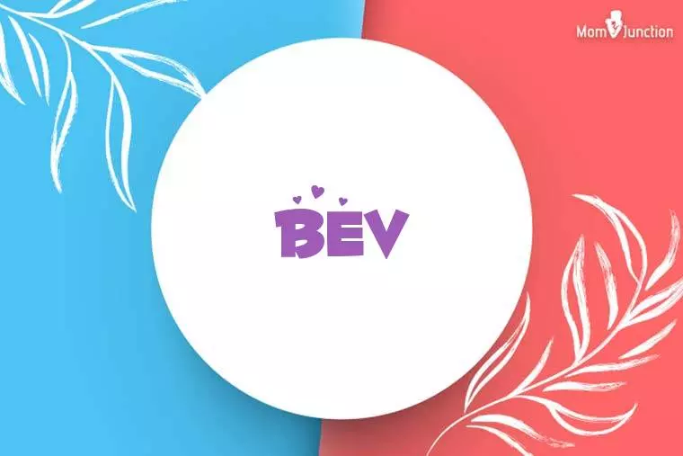 Bev Stylish Wallpaper