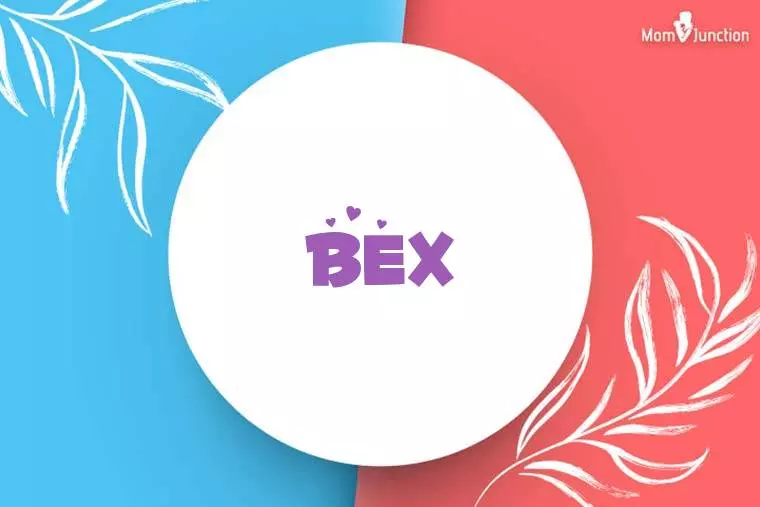 Bex Stylish Wallpaper