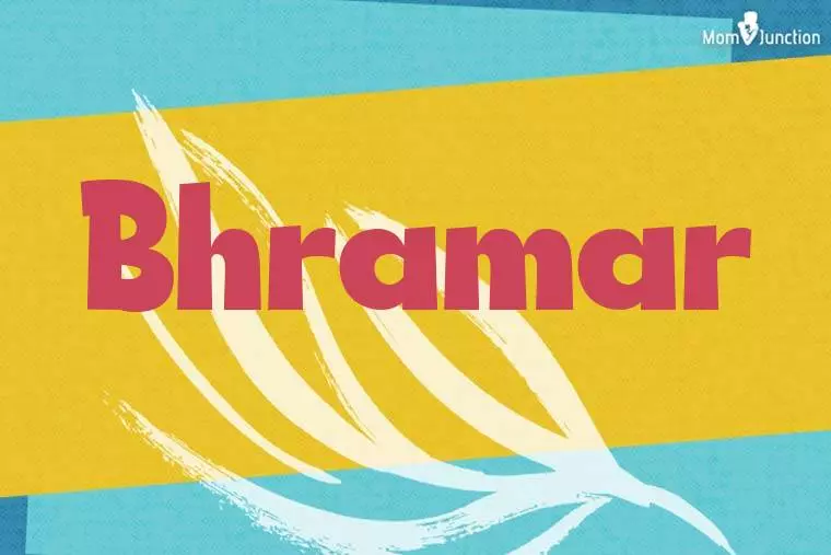 Bhramar Stylish Wallpaper