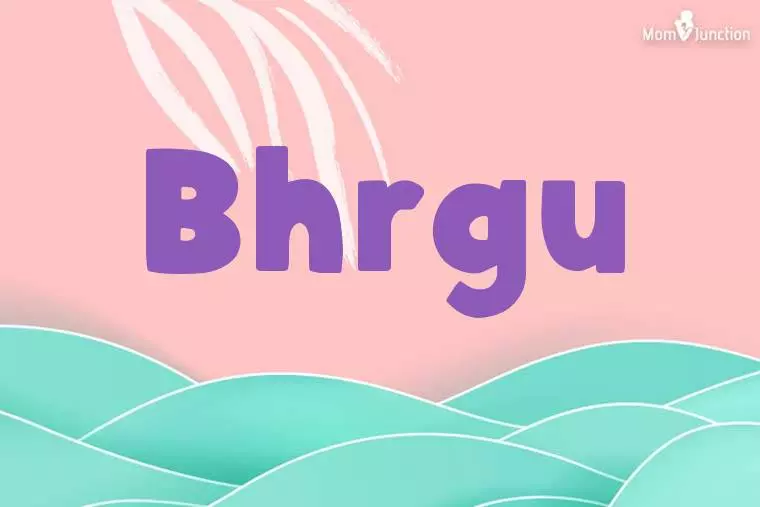 Bhrgu Stylish Wallpaper