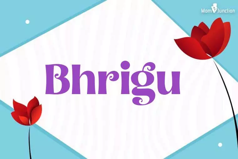 Bhrigu 3D Wallpaper