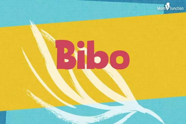 Bibo Stylish Wallpaper