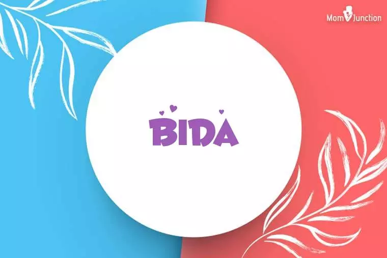 Bida Stylish Wallpaper