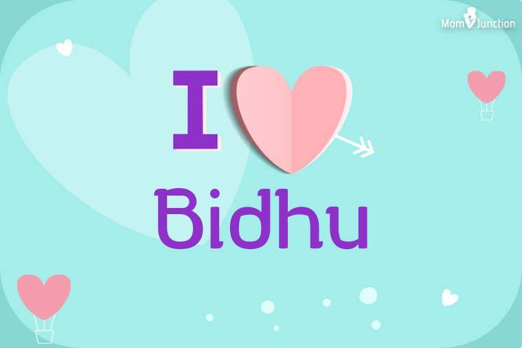 I Love Bidhu Wallpaper