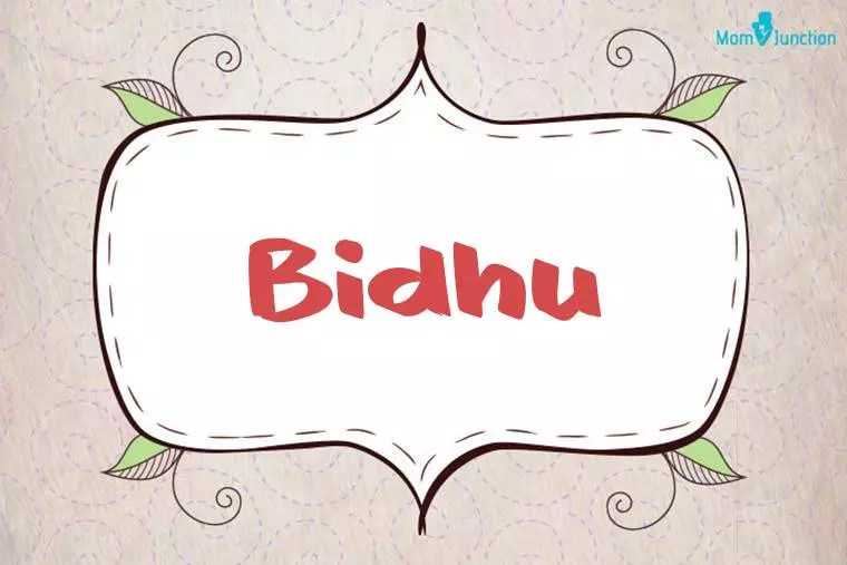 Bidhu Stylish Wallpaper