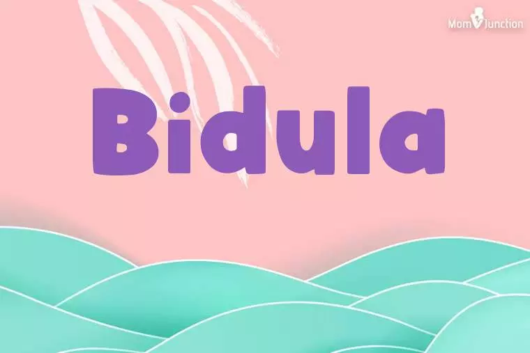 Bidula Stylish Wallpaper