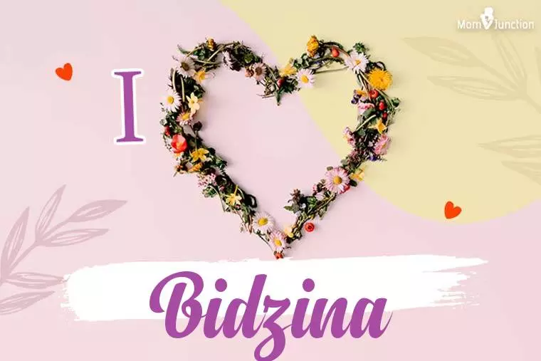 I Love Bidzina Wallpaper