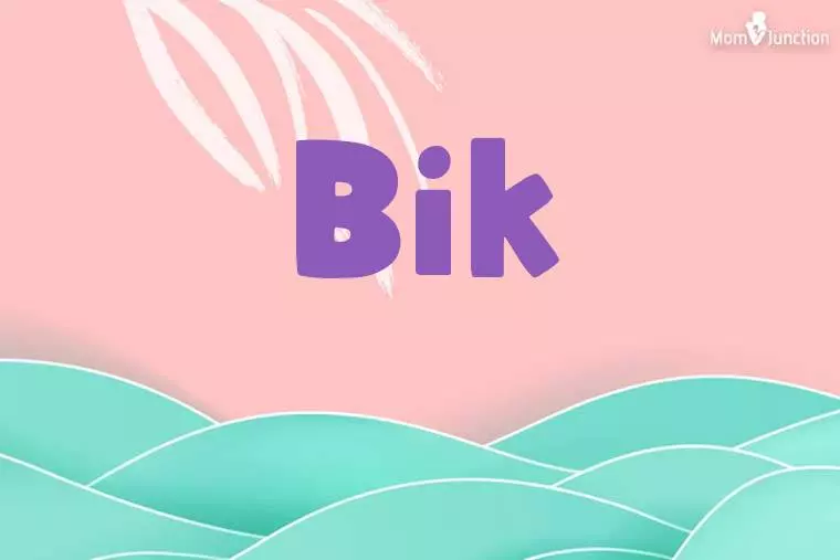 Bik Stylish Wallpaper