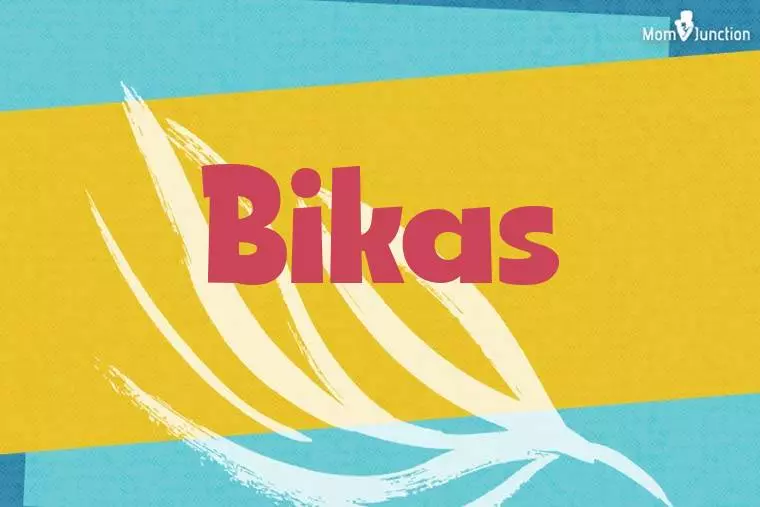 Bikas Stylish Wallpaper