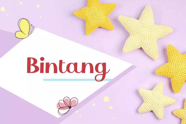 Bintang Stylish Wallpaper