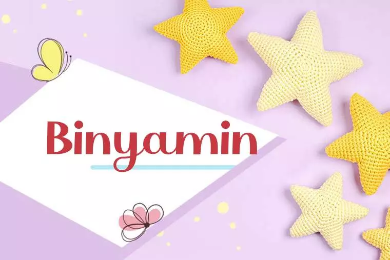 Binyamin Stylish Wallpaper