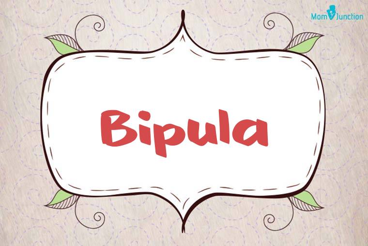 Bipula Stylish Wallpaper