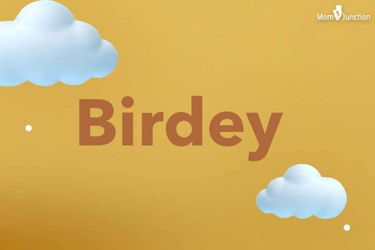 Birdey 3D Wallpaper