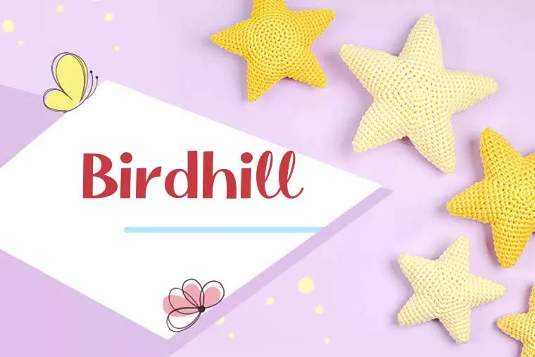 Birdhill Stylish Wallpaper