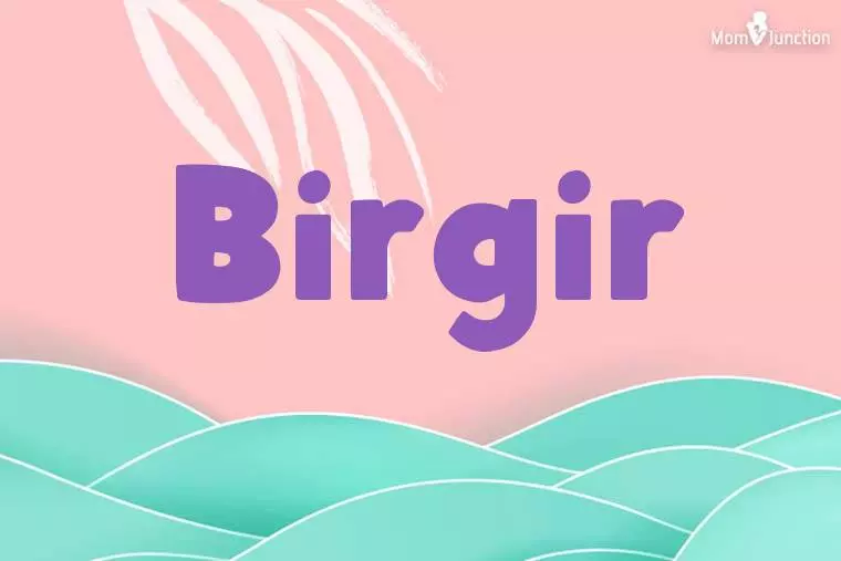 Birgir Stylish Wallpaper