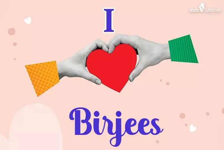 I Love Birjees Wallpaper