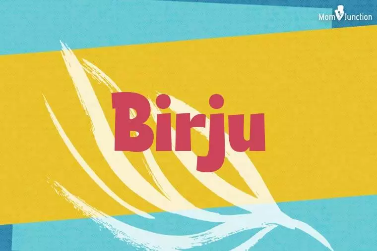 Birju Stylish Wallpaper