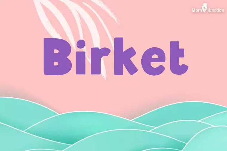 Birket Stylish Wallpaper