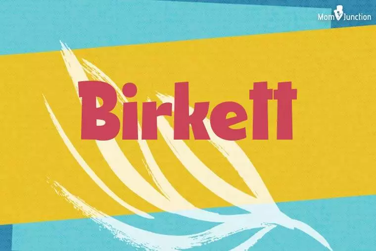 Birkett Stylish Wallpaper