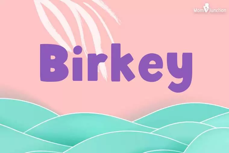 Birkey Stylish Wallpaper