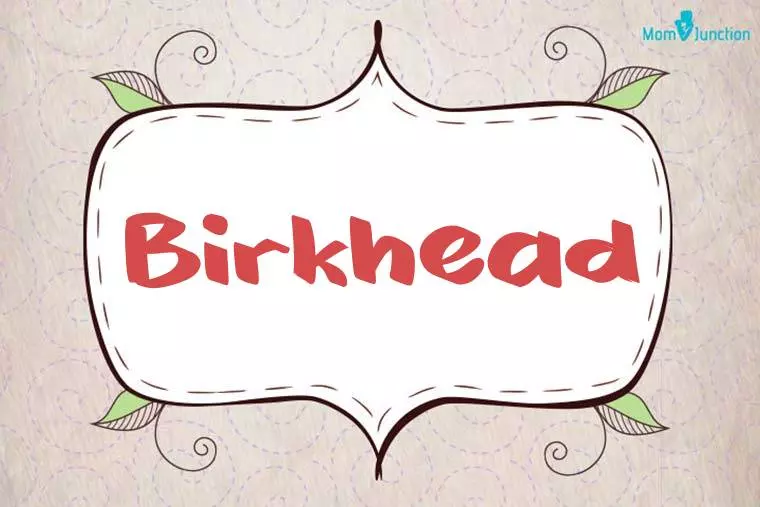 Birkhead Stylish Wallpaper