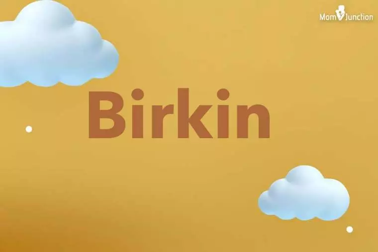 Birkin 3D Wallpaper