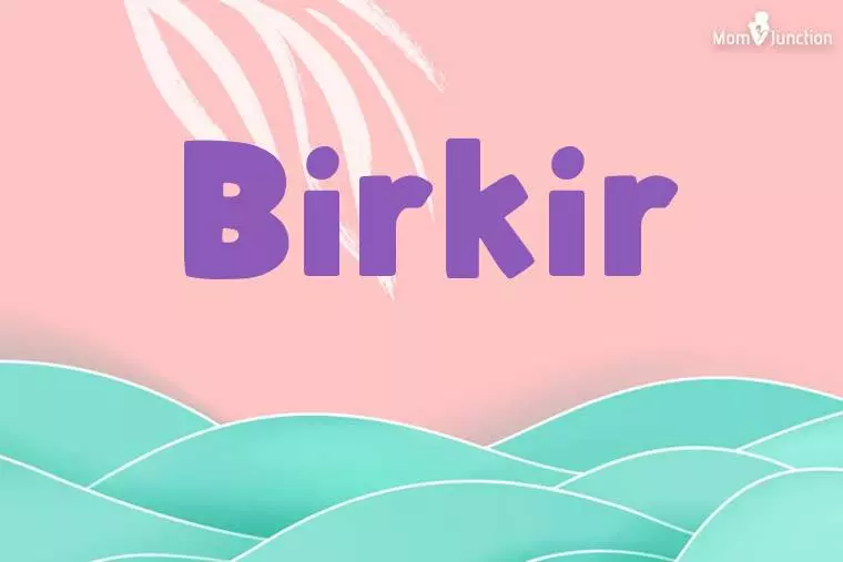 Birkir Stylish Wallpaper