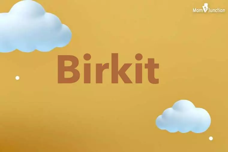 Birkit 3D Wallpaper