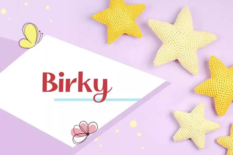 Birky Stylish Wallpaper