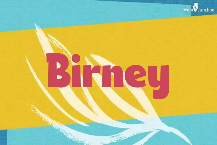 Birney Stylish Wallpaper