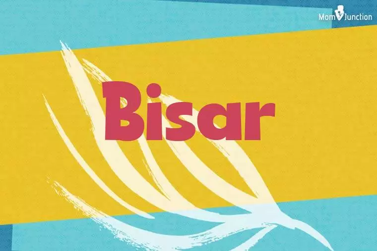 Bisar Stylish Wallpaper