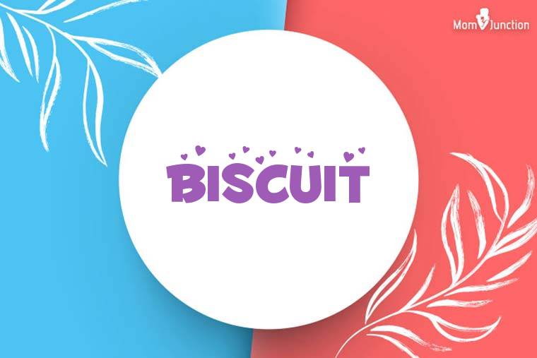 Biscuit Stylish Wallpaper