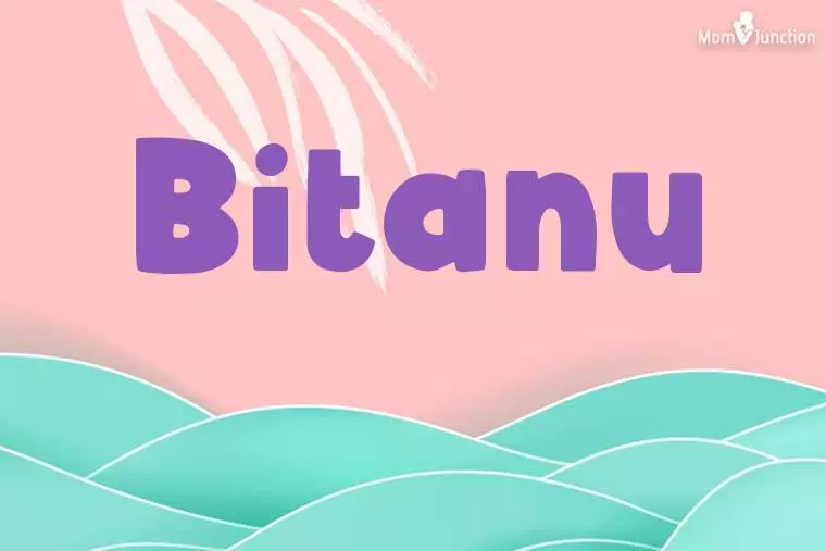 Bitanu Stylish Wallpaper