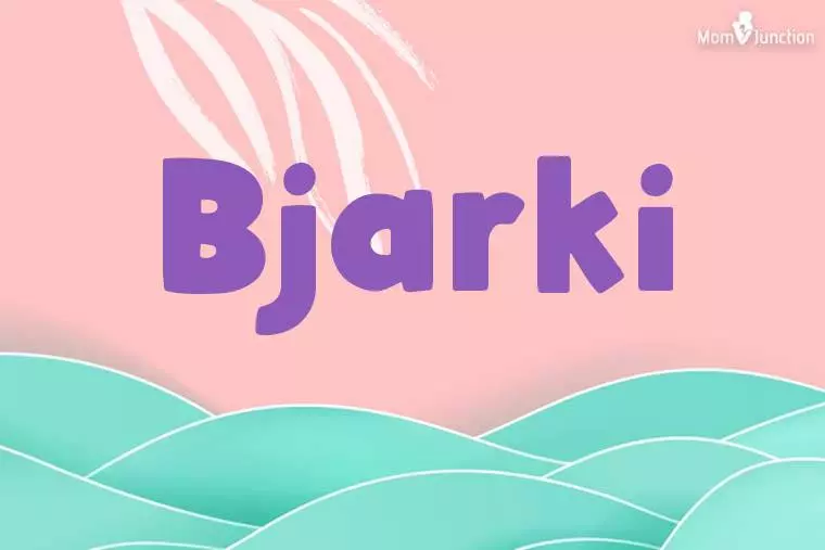 Bjarki Stylish Wallpaper