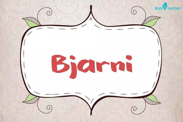 Bjarni Stylish Wallpaper