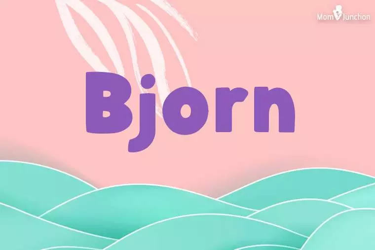 Bjorn Stylish Wallpaper