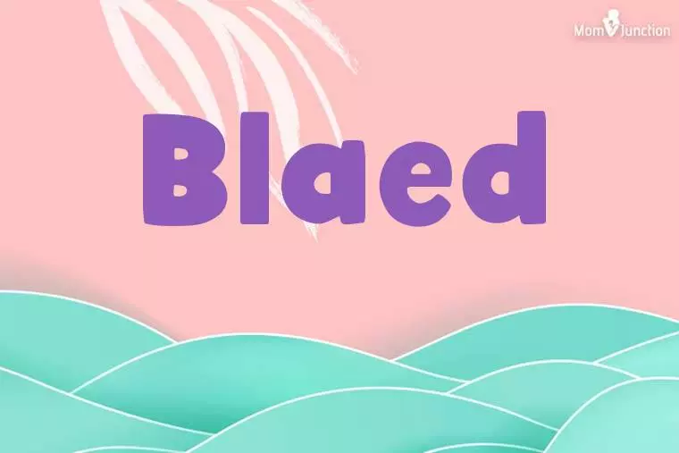 Blaed Stylish Wallpaper