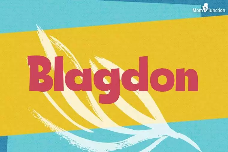 Blagdon Stylish Wallpaper