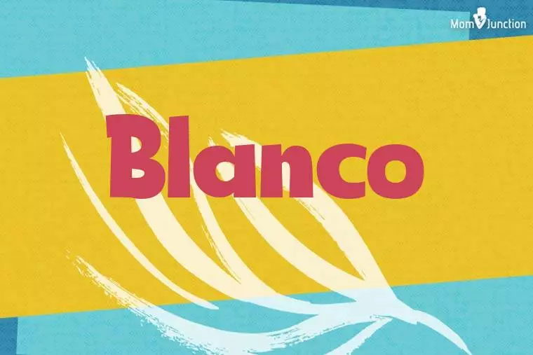 Blanco Stylish Wallpaper