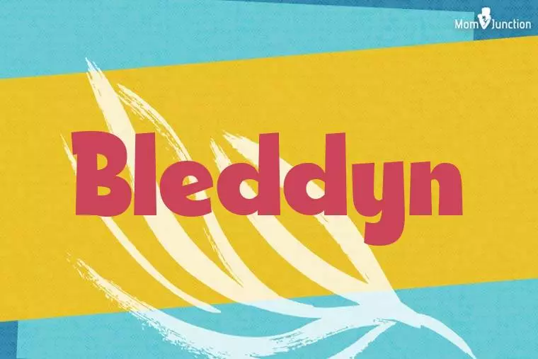 Bleddyn Stylish Wallpaper