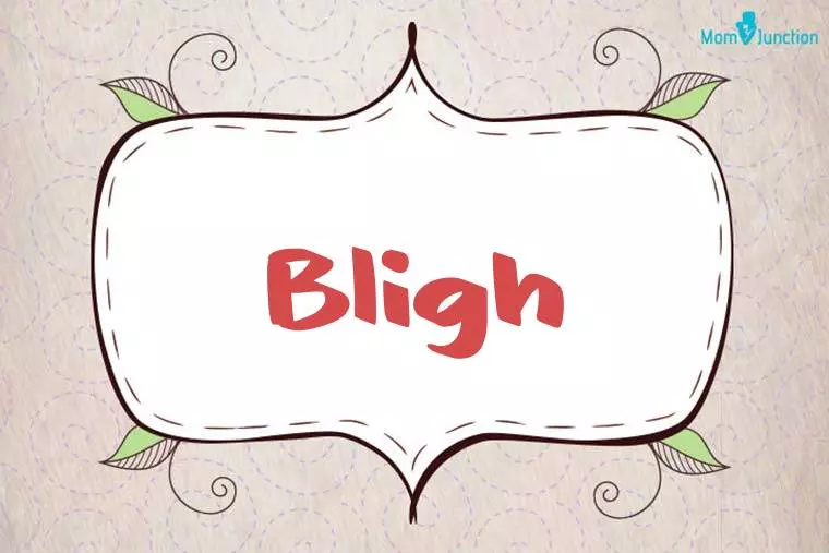 Bligh Stylish Wallpaper