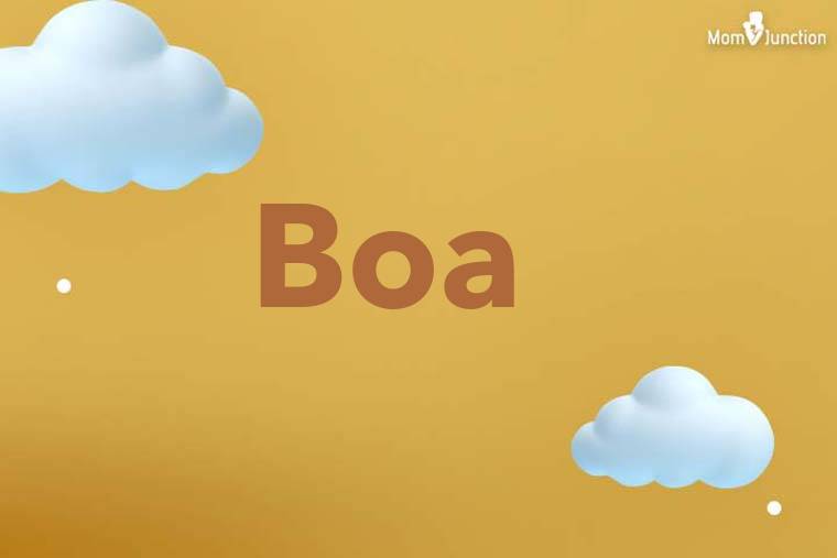 Boa 3D Wallpaper