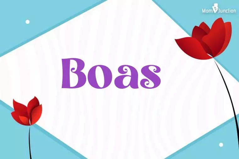 Boas 3D Wallpaper