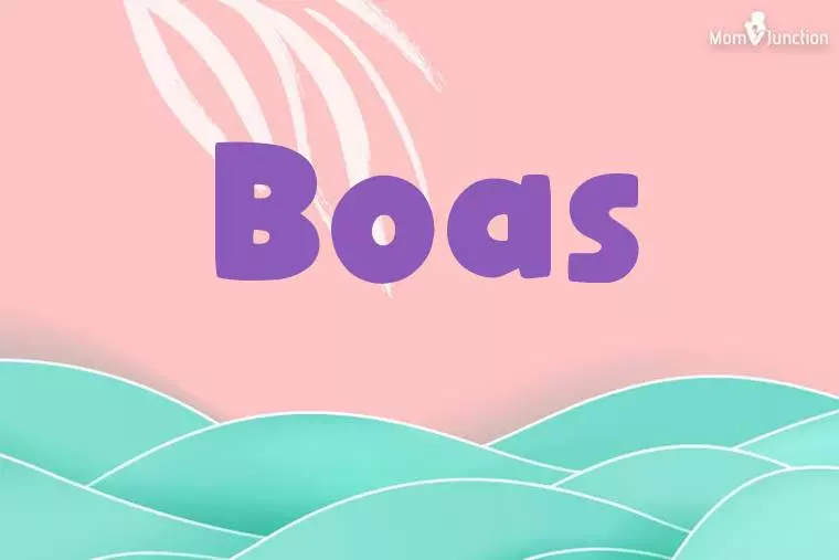 Boas Stylish Wallpaper