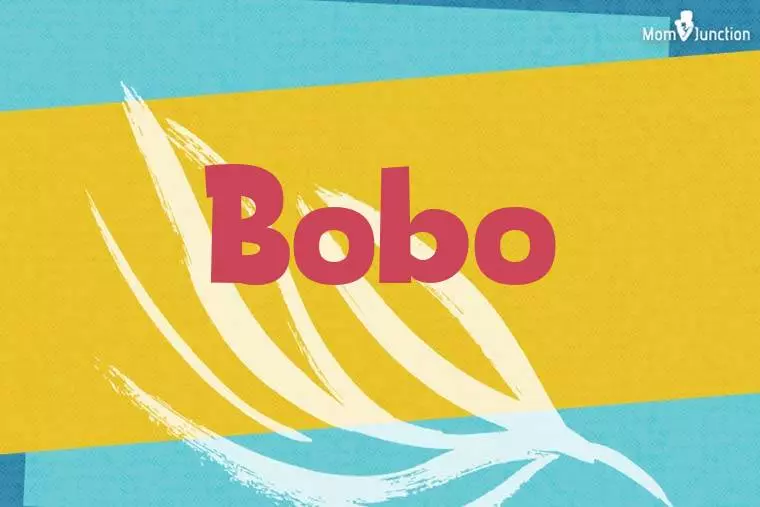 Bobo Stylish Wallpaper